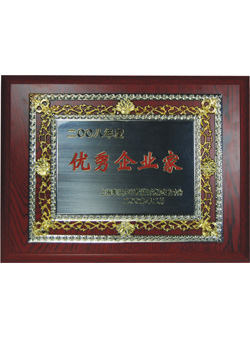 信基2008年度優(yōu)秀企業(yè)家證書